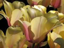 Preview - Click to zoom